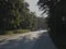 Gray light road surrounded by green summer trees, bushes and grass, illuminated by the rising golden sun