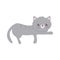 Gray little cat pet isolated icon white background