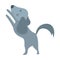 gray little dog pet domestic animal icon