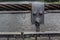 Gray metal shackle connect the sling and rope tied knot. Close up details of metal parts of suspension footbridge