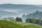 Gray morning fog over tea plantations Bwindi.