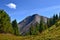 Gray mountain, green bushes, mountain range near city Golden, Canada.