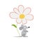 Gray mouse and chamomile. White daisy flower with a yellow center