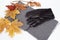 Gray neckscarf and gloves with yellow maple and oak leaves on white background