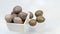 Gray Nicker Caesalpinia bonduc, Caesalpinia bonducella, Fever nut