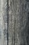 Gray old timbered wooden log vertical background