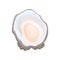 Gray open oyster shell with multicolored beacon. Vector illustration on white background.