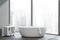 Gray panoramic bathroom with bathtub