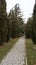 The gray path paved with tiles in a park