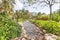 Gray pebbled path in the tropical garden