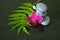 Gray pebbles arranged in zen lifestyle with an orchid, a branch of heather and drops of water on a glossy black background