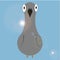 Gray pigeon