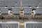 Gray plastic seats installed in rows on street area with ribbed backs going into perspective, fixed on metal rectangular crossbars