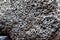 gray porous pumice stone