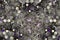 Gray purple pattern of small curved round spots on a black background.