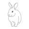 Gray rabbit.Animals single icon in outline style vector symbol stock illustration web.