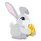 The gray rabbit holding a yellow and red colored Easter egg isolated on white.