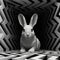 Gray Rabbit In Monochromatic Op Art Maze - Digital Wall Art