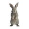 Gray rabbit standing on its hind legs and saying hello