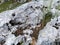 Gray and rough rock, typical of the mountain landscape of central Italy. Mottled yellow due to lichens