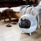 a gray Russian blue cat lies in Sphere Cat bed for cats, against the background of the bedroom