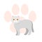 Gray Scottish cat exotic Shorthair. Vector flat illustration.