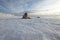 Gray Seal (Halichoerus grypus) playful and curious  in winter, Helgoland ,Germany