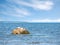 Gray seal pup portrait, wandering on the shore, looking at camera, Bic National Park, Quebec, Canada