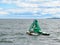 Gray seal rest on a sea buoy in he Firth of Forth, Scotland