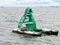 Gray seal rest on a sea buoy in he Firth of Forth, Scotland