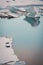 Gray seals relaxing and lying on ice sheet, Iceland.