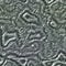 Gray seamless alien skin texture