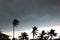 Gray sky before typhoon or hurricane or tornado  big storm come.rain storm impact coconut