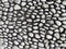 Gray small pebble background, stones as paving ground