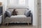 Gray soft sofa with 2 pillows.