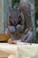 A gray squirrel eating at a backyard wooden picnic table