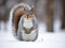 Gray squirrel (Sciurus sp)  Made With Generative AI illustration