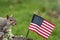 Gray squirrel stands near American Flag and smiles