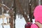 Gray squirrel in the winter Ural forest.