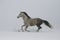 The gray stallion galloping on the slope in the snow. A horse gallops in deep snow. Snow flies from the hooves