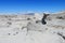 Gray stone desert Ischigualasto, Argentina