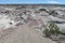 Gray stone desert Ischigualasto, Argentina