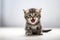 Gray striped little kitten angrily opened his mouth on a white background.Generative AI