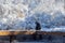 Gray striped tabby cat on a wooden deck bench looking out at a snow covered yard