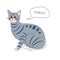 Gray tabby cat . Cute cartoon characters . Flat shape and line stroke design .
