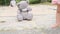 Gray teddy bear sitting lonely on the playground, concept of loss of parents, loneliness of children, caring for orphans