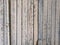 Gray texture wooden fence background. Vintage or grungy white background of natural wood or wooden old texture