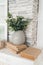 Gray vase with eucalyptus on pile of books near stone wall. Eucalyptus branches in vase.