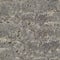 Gray wall stucco seamless texture or background.