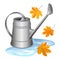 Gray watering can in puddle and falling orange maple leaves.